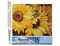 Figured'Art Paint by Numbers Kit for Adults Sunflower In Full Bloom 16"x20" - Craft Art Painting DIY Kit Rolled Canvas without frame